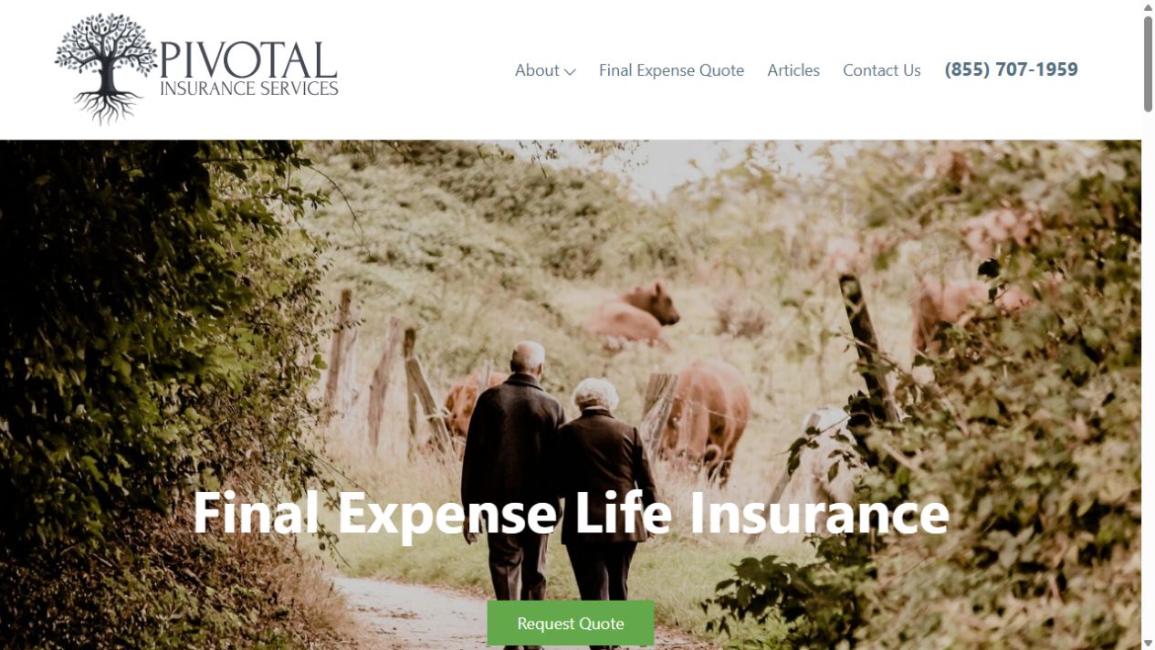 Pivotal Insurance Services website preview